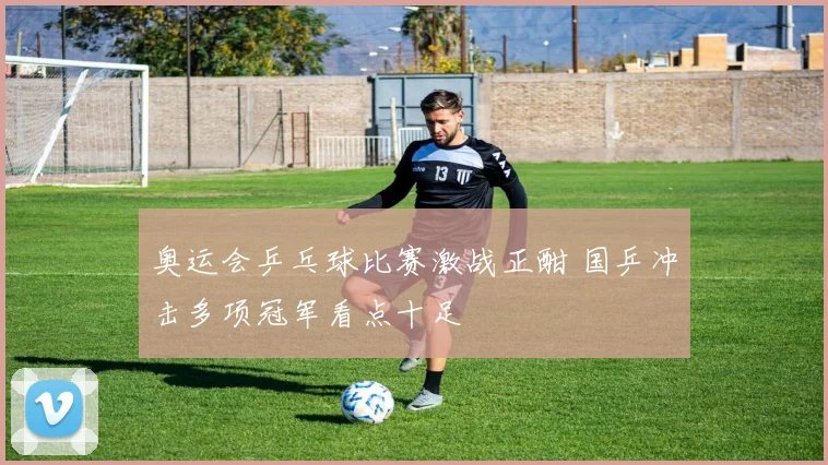 奥运会乒乓球比赛激战正酣 国乒冲击多项冠军看点十足