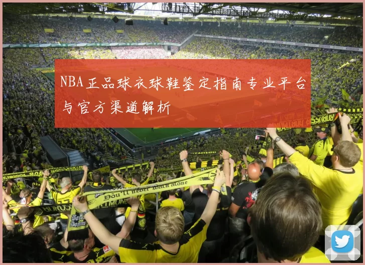 NBA正品球衣球鞋鉴定指南专业平台与官方渠道解析