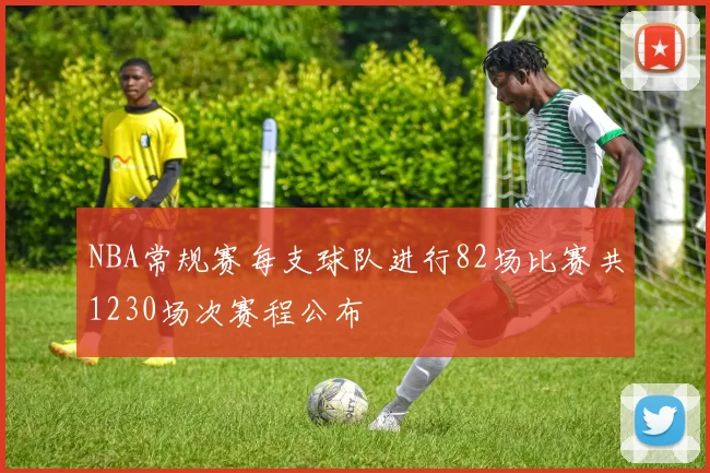 NBA常规赛每支球队进行82场比赛共1230场次赛程公布